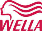 Wella Professionals Hair Care Brand, iDigitGroup SEO Client